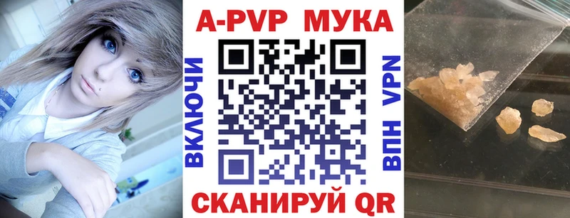 Альфа ПВП СК КРИС  Пошехонье 