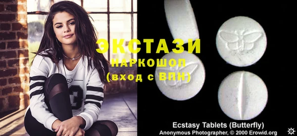 индика Осинники