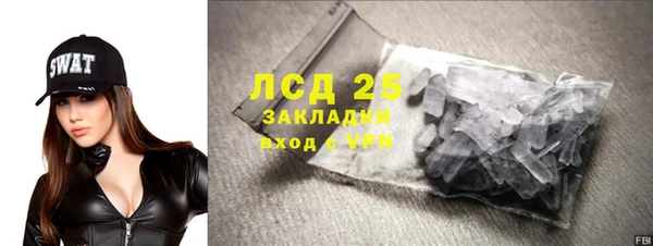 прущие грибы Няндома