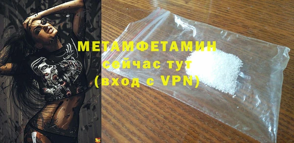 прущие грибы Няндома