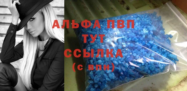 прущие грибы Няндома