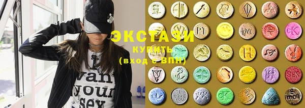 индика Осинники
