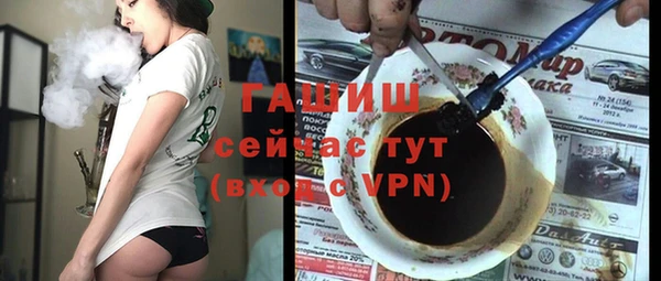 индика Осинники