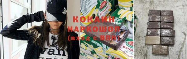 тгк Инсар