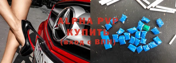 прущие грибы Няндома