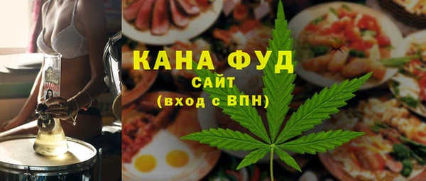 мдпв Инта