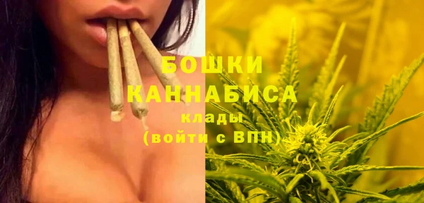 прущие грибы Няндома