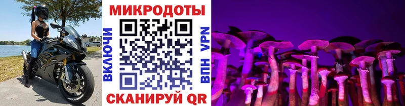 Галлюциногенные грибы мухоморы  Пошехонье 